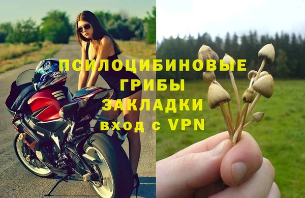 spice Абинск