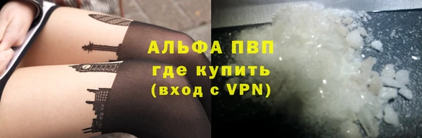 спайс Покачи