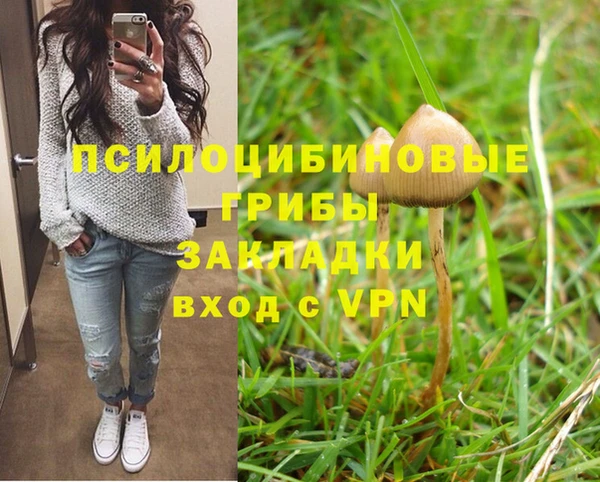 МДПВ Покров